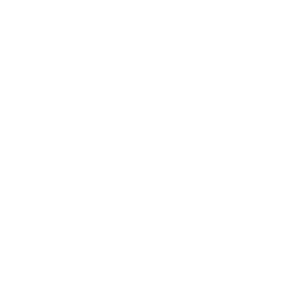 Search icon